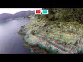 Drone 3D, 4K, Aerial 3D video, ANAGLYPH, Red/Cyan, Seacoast