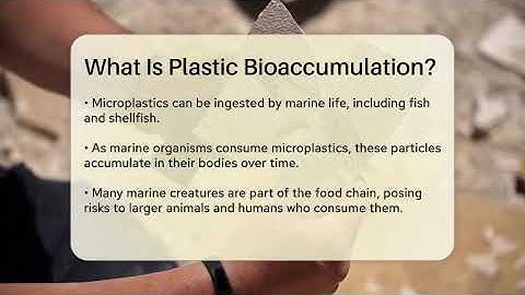 What Is Plastic Bioaccumulation? - Earth Science Answers