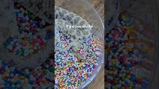 Famous I'm never buying sprinkles again. Profile
