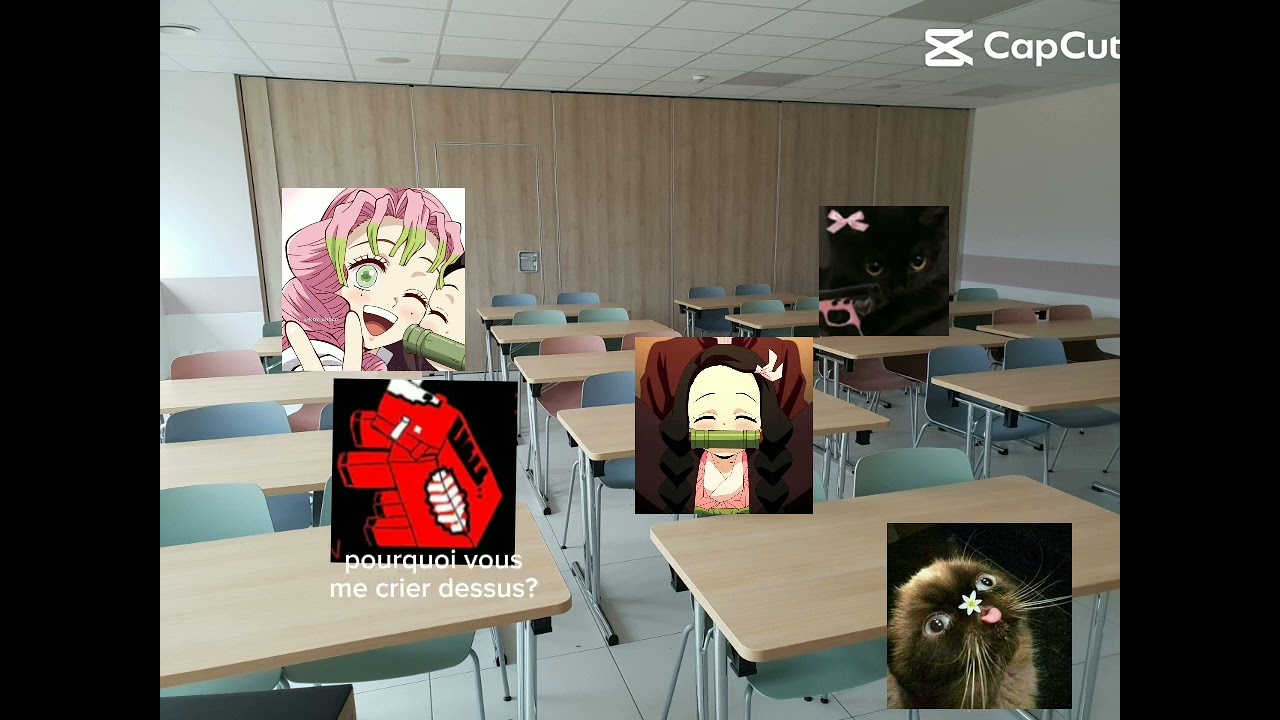 TAG CE POTE!!!!!!#humour#drôle