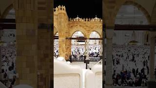 Hajj26 #shorts #funny #islamic #islam #duet #dua #shihabkaudupi #shihabchotturpaidalhajj #vlog #love