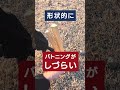 【キャンプ道具】ユニフレームの斧【実用性よりロマン】 #shorts