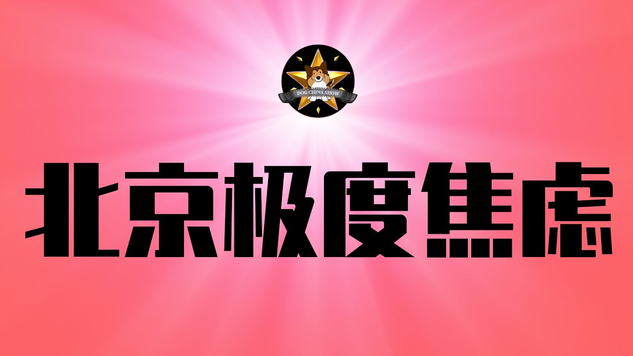 川普訪華在即，北京陷入極度焦慮！秦剛模式重現｜中國智能電車再出奇葩事故，bug太多防不勝防，悲慘的車主韭菜們｜川普｜習近平｜秦剛｜領克汽車｜小米汽車｜自動駕駛