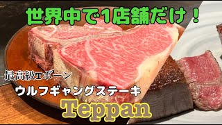 【主の日常】激レア？！世界中で銀座にしか存在しないウルフギャングステーキTeppan！最高級あか牛T-ボーンの鉄板焼きを堪能🐂