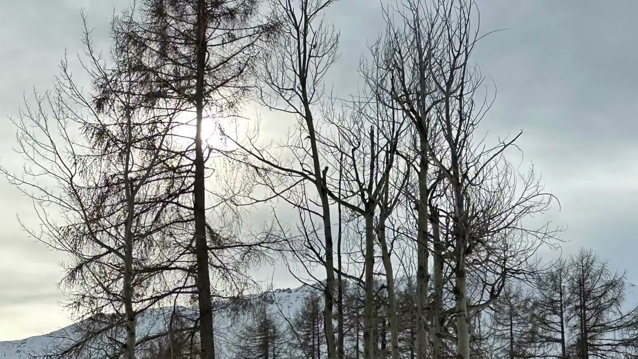 W. Kaiser: Lü to Tschierv - Silvester 2022