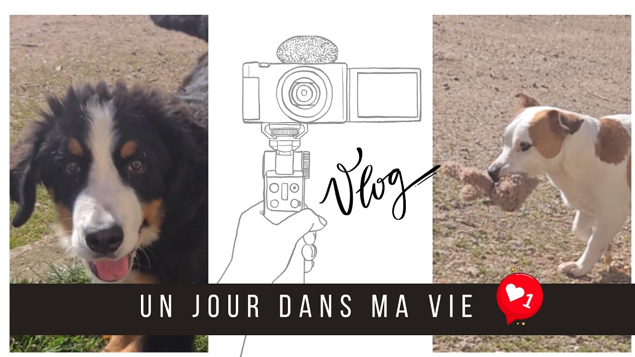 [Vlog famille Nombreuse] #1014 La journée vélo de roxane