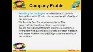 Kept Bug Technologies - Web Development Services