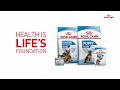 Puppy food for a healthy life  start of life with royal canin