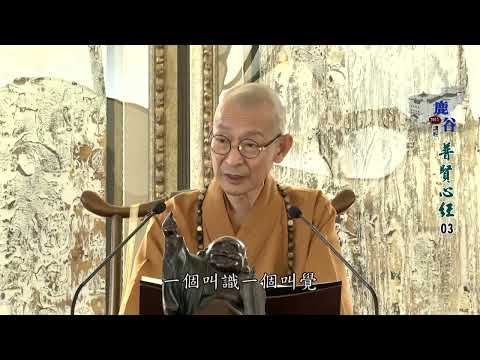 生命在那？生命是從右腦進入身體，生命是兩個字：#識和#覺。覺是先天性生命，在身體出生的時候，這個覺就帶來了，在右腦裡。後天性生命是在半歲到六歲之間才到。先天性到后天性之间，其实它存在的是一种五蕴的运作