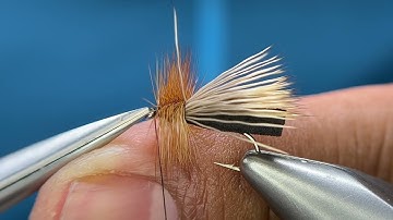Puterbaugh Caddis  4K