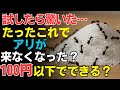 殺虫剤なし・たった100円でできる自然なアリ対策!暮らしに役立つ14の知恵