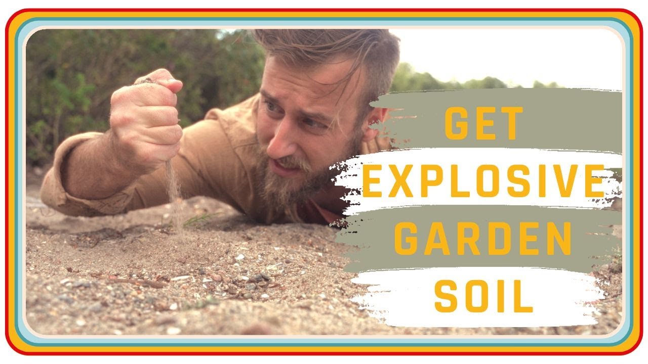 HOW TO START BUILDING HEALTHY SOIL FOR YOUR GARDEN | DIGGING DEEPER ...