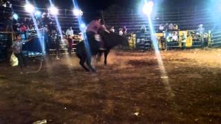 Toro: El Garrobo Jinete: El Panda