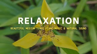 Increasing Positive Emotions With Beautiful Relaxing Music 🧚 Pure Spa Music #relaxingmusic #piano