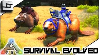 ARK: Survival Evolved - GIANT BEAVER/CASTOROIDES TAMING! S3E53 ( Gameplay )