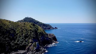 SNAPPER MADNESS Exploring and Spearfishing remote Island New Zealand | AMAZING diving in clear water