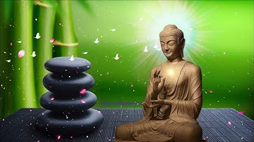 Nhạc Thiền - Xóa Tan Muộn Phiền ưu tư trong cuộc sống