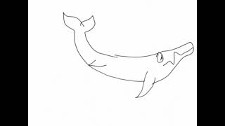 Basilosaurus test