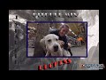 2yr Pitbull (Duchess) | Specialized Dog Training | Best Wilmington Delaware Dog Trainers 2yr Pitbull (Duchess) | Specialized Dog Training | Best Wilmington Delaware Dog Trainers