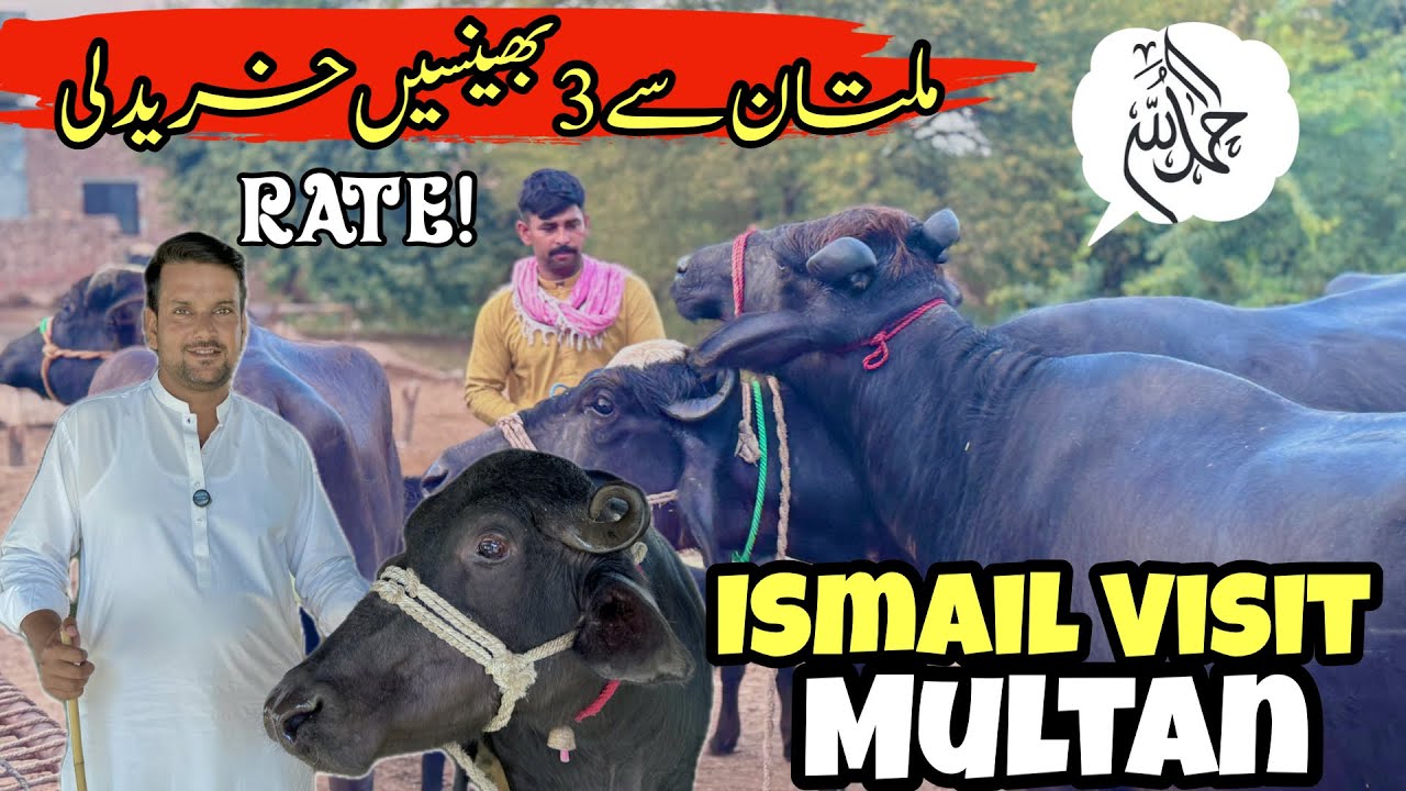 ismail jutt Visit Multan - YouTube