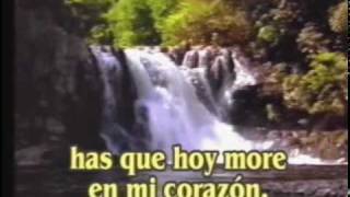 Video thumbnail of "Nada reemplaza su amor - Edith Aravena.DAT"