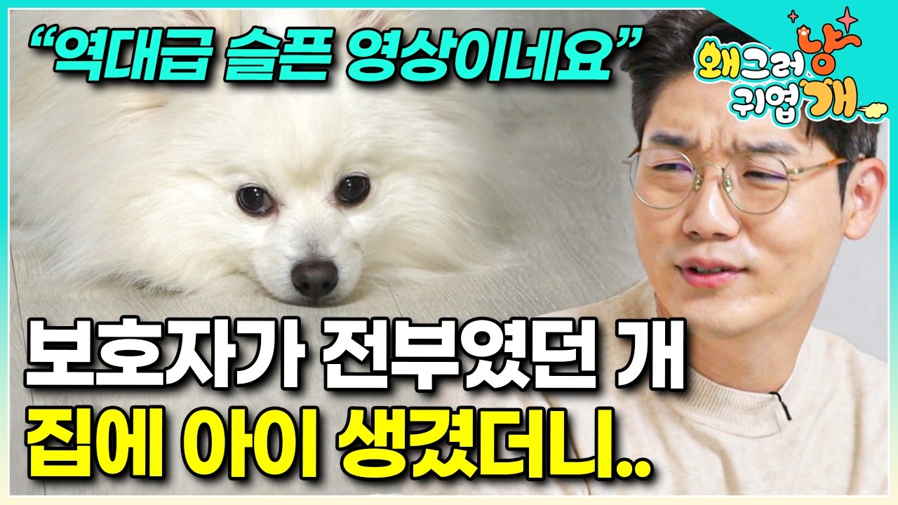 “아예 소외되면 안 돼요” 두 아이 육아에 치여 미처 몰랐던 강아지의 외로운 모습.. 끝내 눈물을 쏟고 만 보호자│