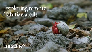 Exploring remote Tahitian atolls with Thierry | IMAGINE5