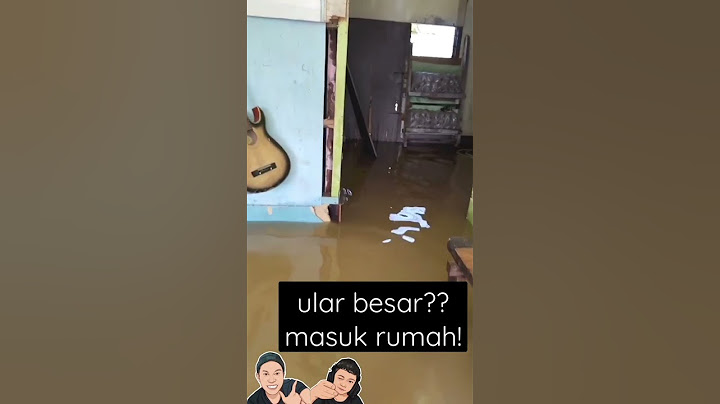 ular besar kaya anconda masuk rumah #shorts