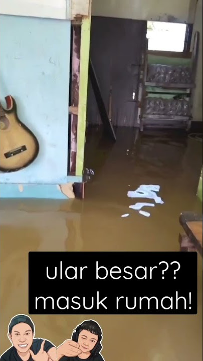 ular besar kaya anconda masuk rumah #shorts