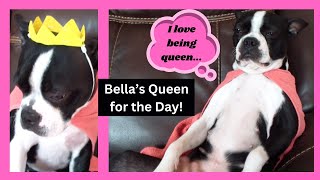 Bella's Queen for the day!
