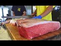 900lb Bluefin Tuna Slicing Spectacle: Watch Attractive Tuna Master the Art of Precision!