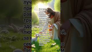Благодарю за жизнь💕🙏 #жизненныйпуть #богмой #евангелие #библияговорит #господь