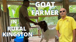 GOAT FARMER IN RURAL ST. ANDREW LAWRENCE STAVERN WITH MR.ROHAN REYNOLDS THE BARBER