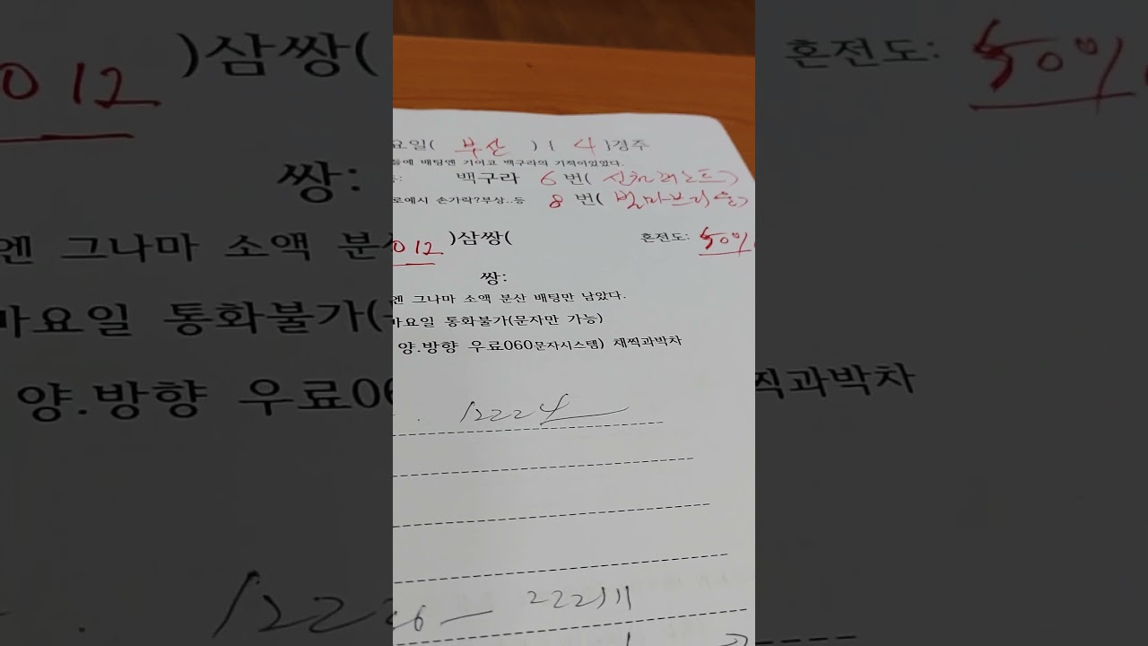 3/2일 일요일 부산4경주 6번마 신천퍼스트?