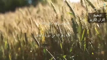 الآية رقم 19 من سورة الأنفال مكررة 30 مرة