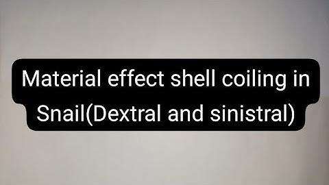 Material effect of shell coiling in Snail 🐌 (full notes)