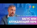 Вагус или блуждающий нерв  - Биолог Дмитрий Алексеев