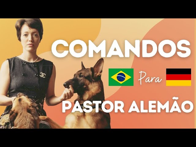 Como se diz “pastor” em inglês? Aprenda com exemplos