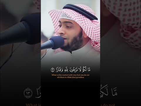 تلاوة خاشعة للشيخ أحمد النفيس من سورة نوح