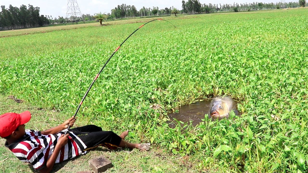 Hook Fishing Expert Little Boy Catching Fish With Hook Fishing With