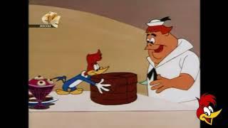 Pica-Pau em português | Compilação de episódios | Desenhos Animados | Pica Pau Antigo