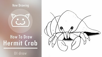 How to Draw Hermit Crab Easy