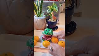 Crocodile Like Small Lemon