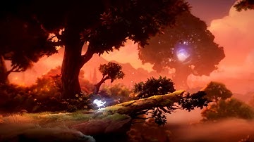 FIXED Ori and the Will of the Wisps PC Black Screen Problem (WORKING 100%)
