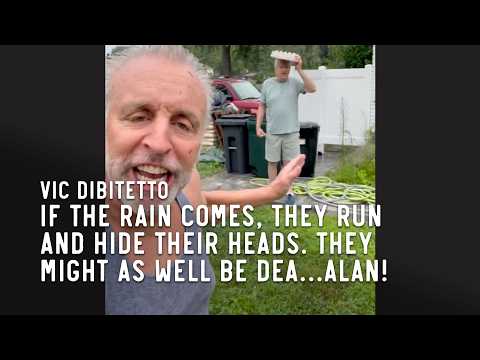 If the rain comes, they run and hide their heads. They might as well be dea…Alan!