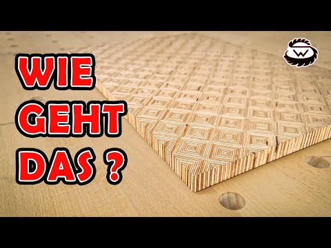 UNGLAUBLICH was man aus MULTIPLEX machen kann! 🤩