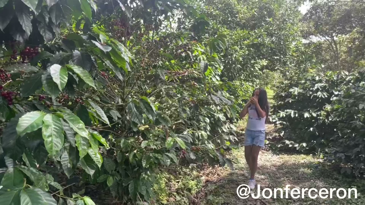 El Trabajador😂🤦🏻‍♂️(suscríbete) #colombia #humor #jonferyvalentina