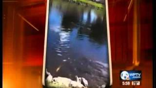 Otter attack captured on video