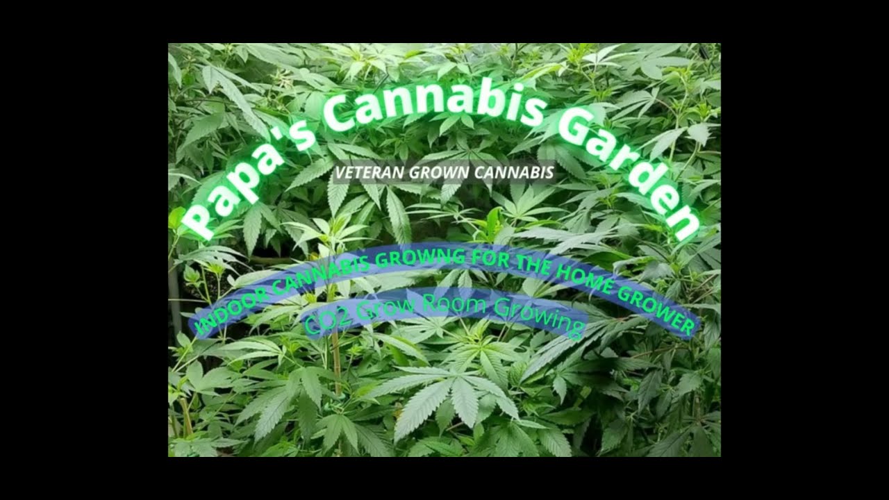 Side by side Genetics grow