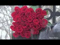 Алые розы великому русскому поэту Пушкину в день памяти.
